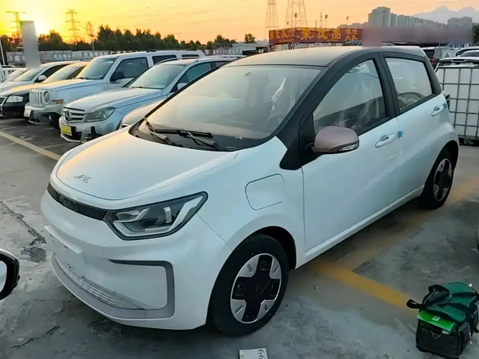 JAC Yiwei Yttrium Flower Fairy Beloved Edition 301km Lite 2024