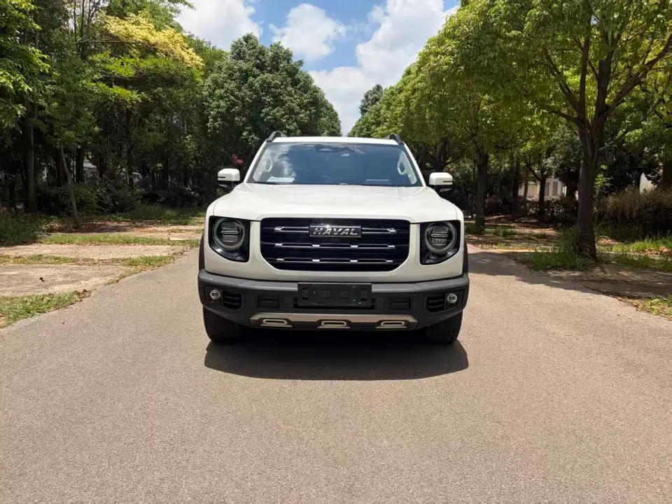 Haval Big Dog 2.0T DCT AWD Howling Celestial Dog Edition 2022