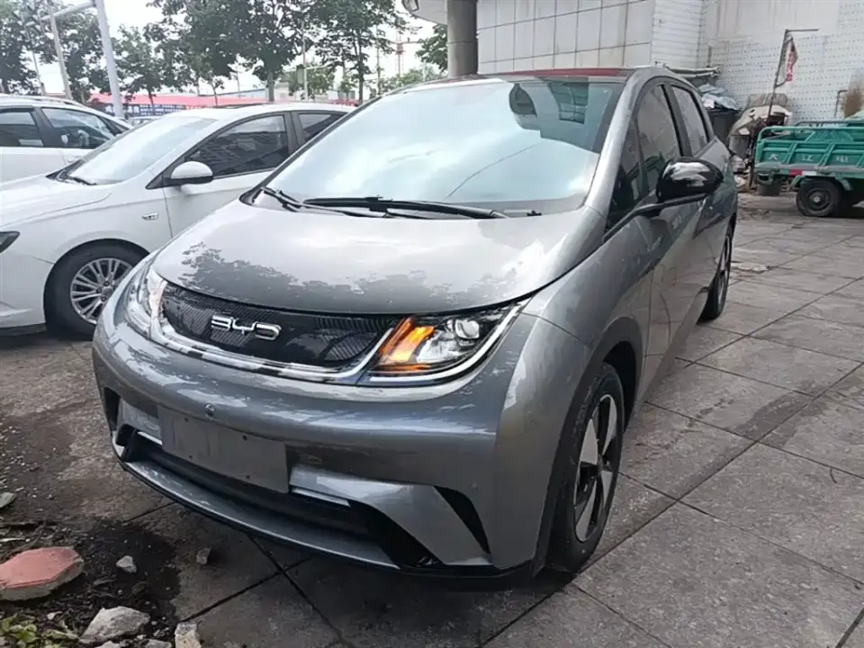 BYD Dolphin 420km Fashion Edition 2024