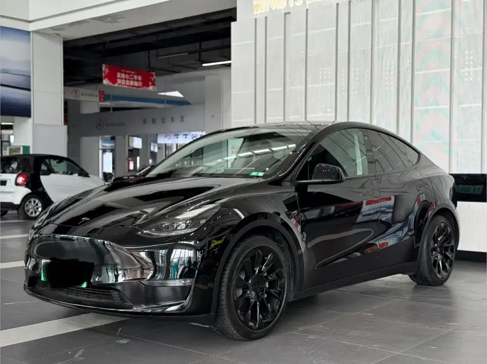 Tesla Model Y Standard Range Rear-Wheel Drive 2021