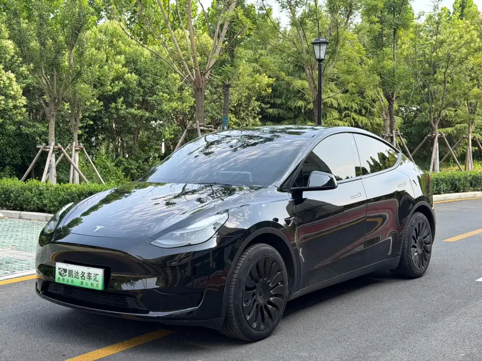 Tesla Model Y Rear-Wheel Drive Version 2022