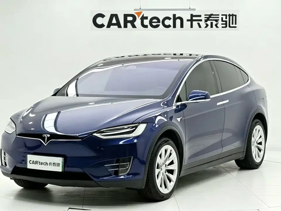 Tesla Model X Model X 100D Long Range 2019