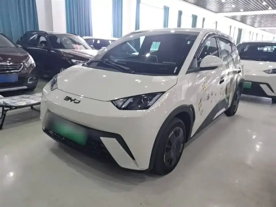 BYD Seagull 305km Vitality 2024