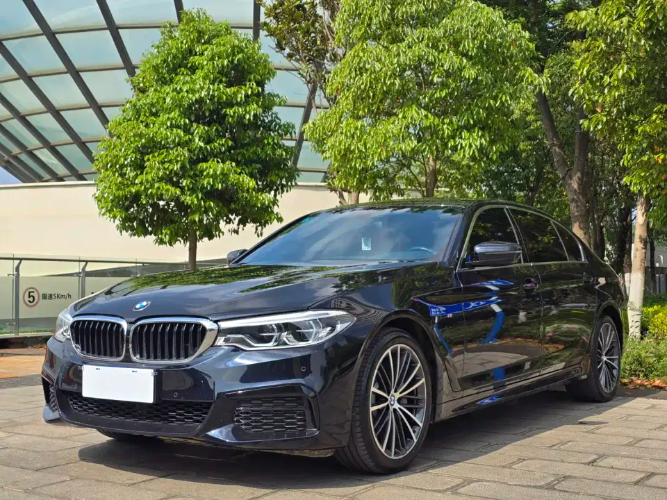 BMW 5 Series 530Li Leading M Sport Package 2020