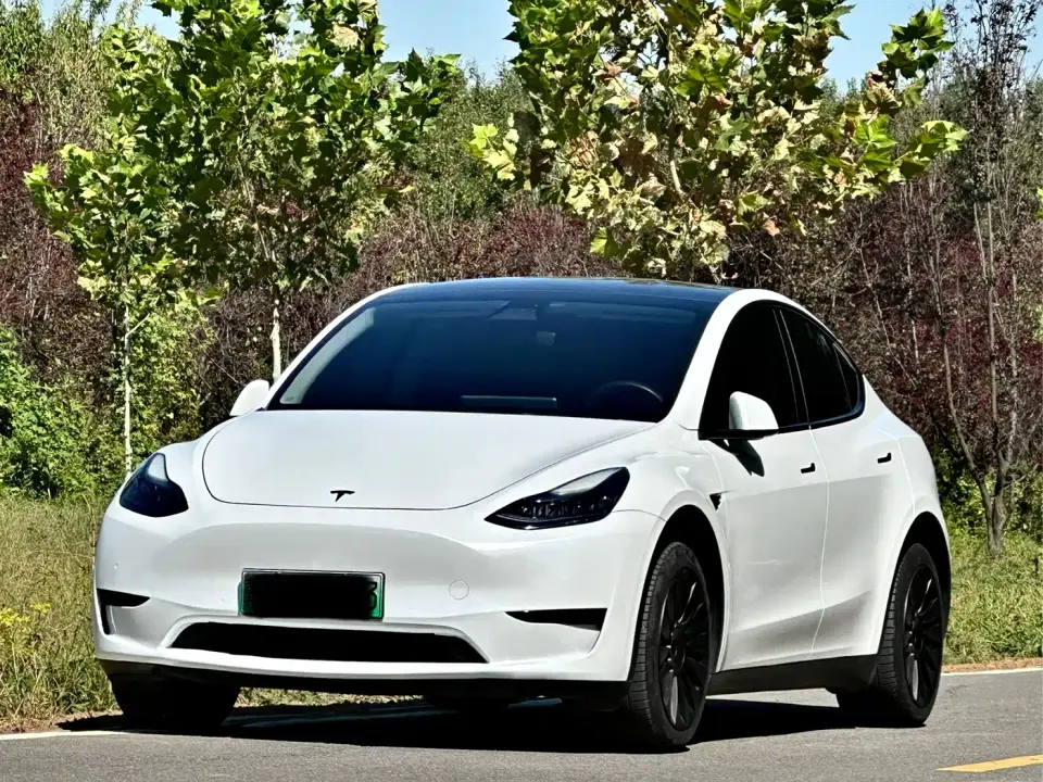Tesla Model Y Rear-Wheel Drive Version 2022