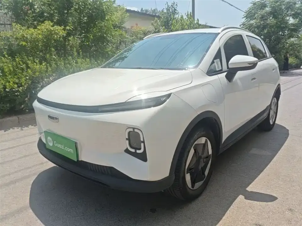 Geely Geometry E Firefly Model 301km Light Flow 2024