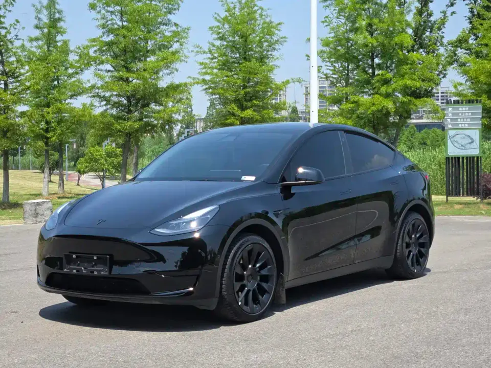 Tesla Model Y Rear-Wheel Drive Version 2022