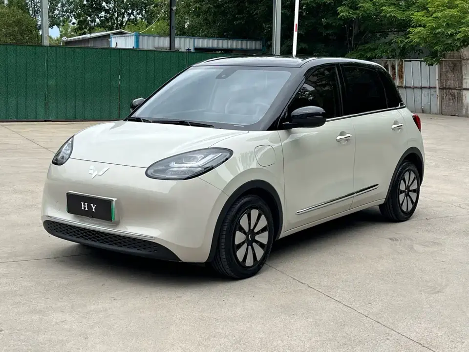 Wuling Motors Wuling Bingo Model 333km Telepathic Connect+ Version 2023