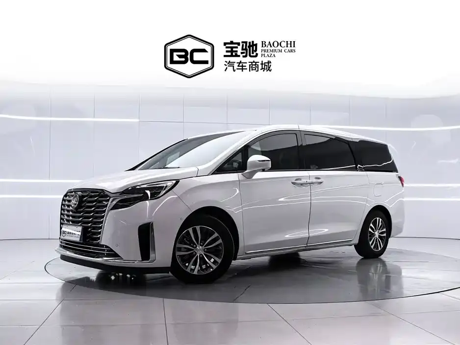 Buick GL8 ES Landmaster Exclusive 2024