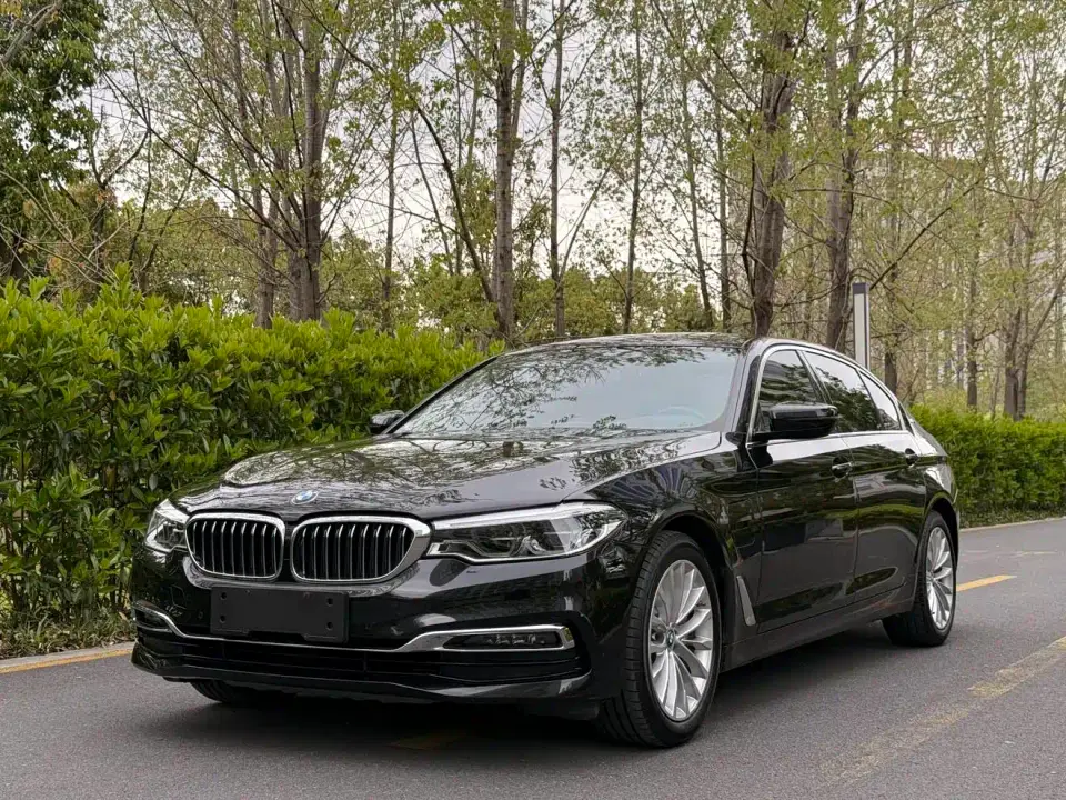 BMW 5 Series New Energy 530Le Luxury Package 2019