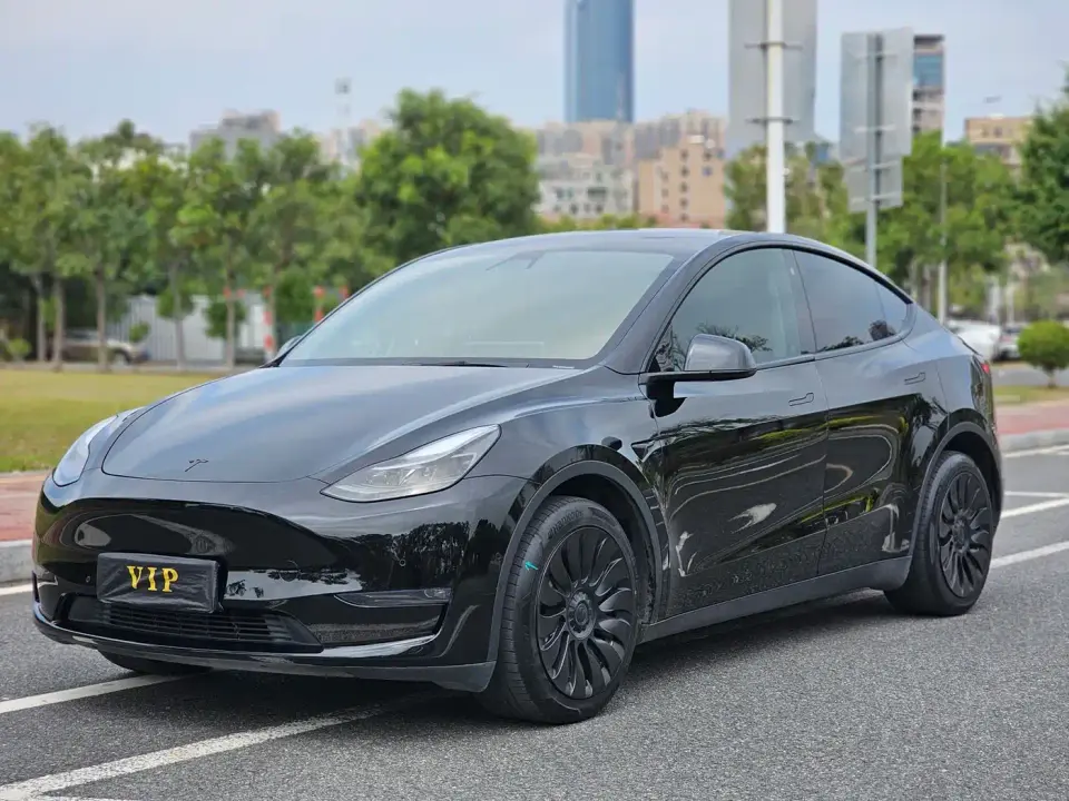 Tesla Model Y Standard Range Rear-Wheel Drive 2021