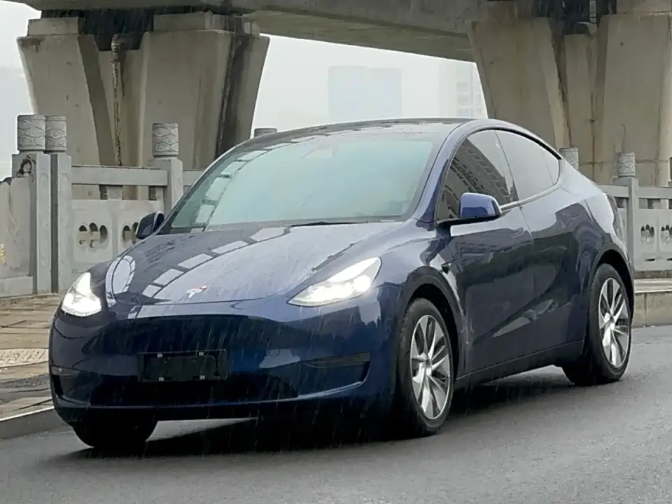 Tesla Model Y Standard Range Rear-Wheel Drive 2021