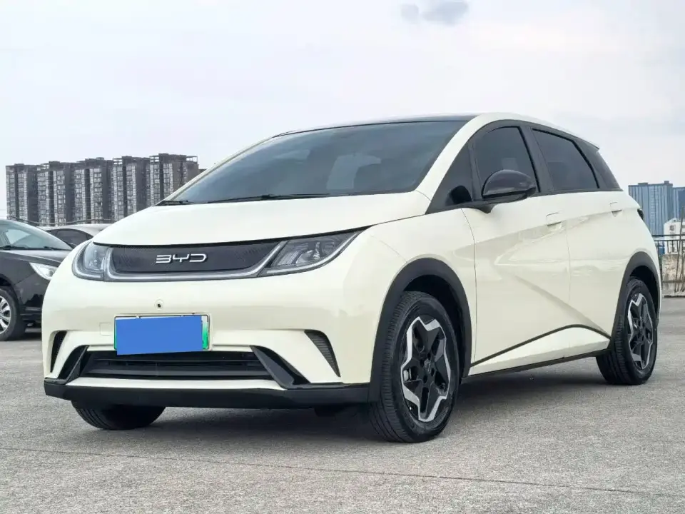BYD Dolphin Model 405km Fashion Edition 2022