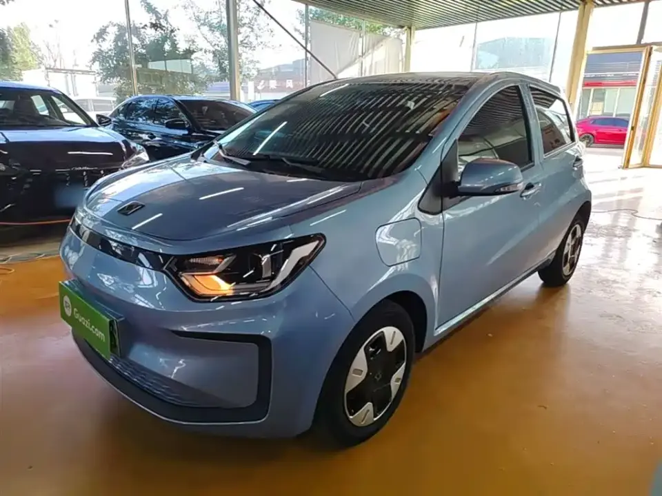 Sehol Flower Fairy 301km Four-leaf Clover 36kW 2024