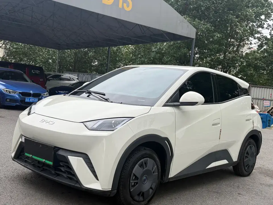 BYD Seagull 305km Vitality 2025