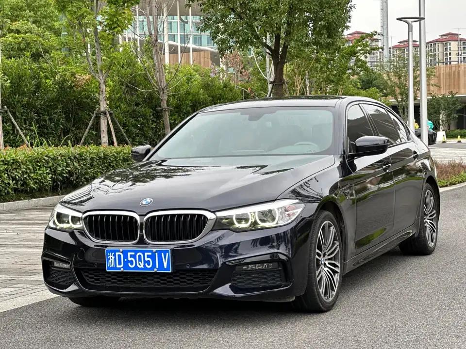 BMW 5 Series 530Li Leading M Sport Package 2019
