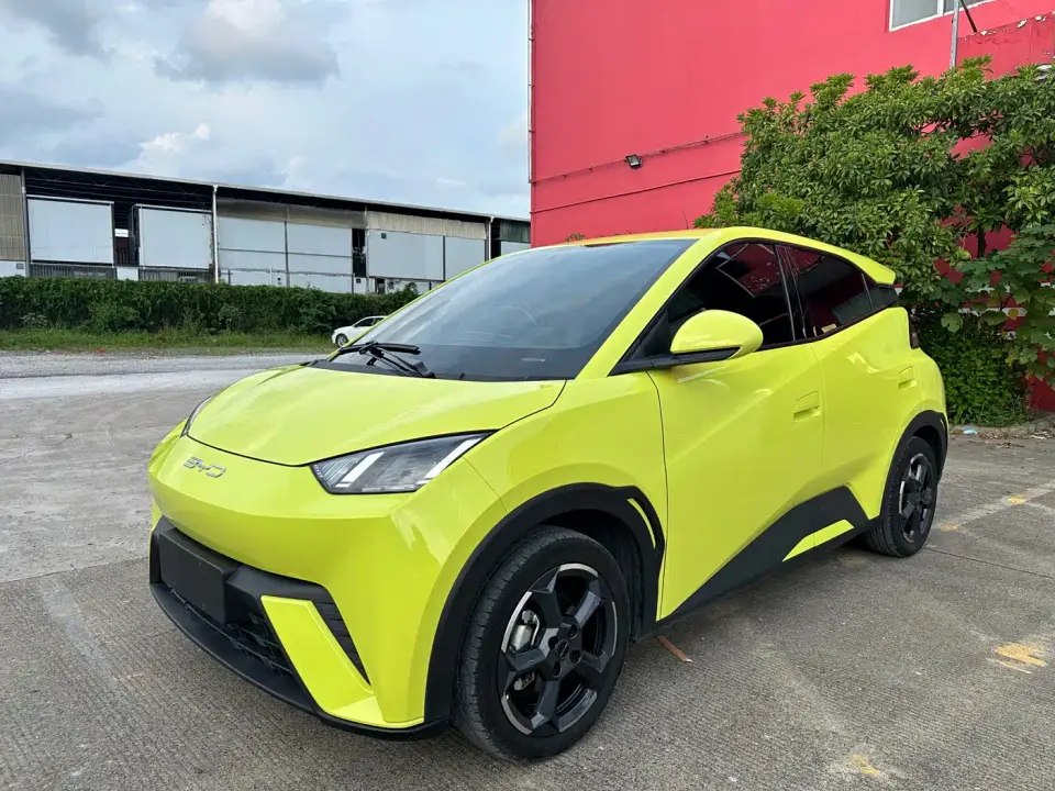 BYD Seagull Freedom Edition 2024