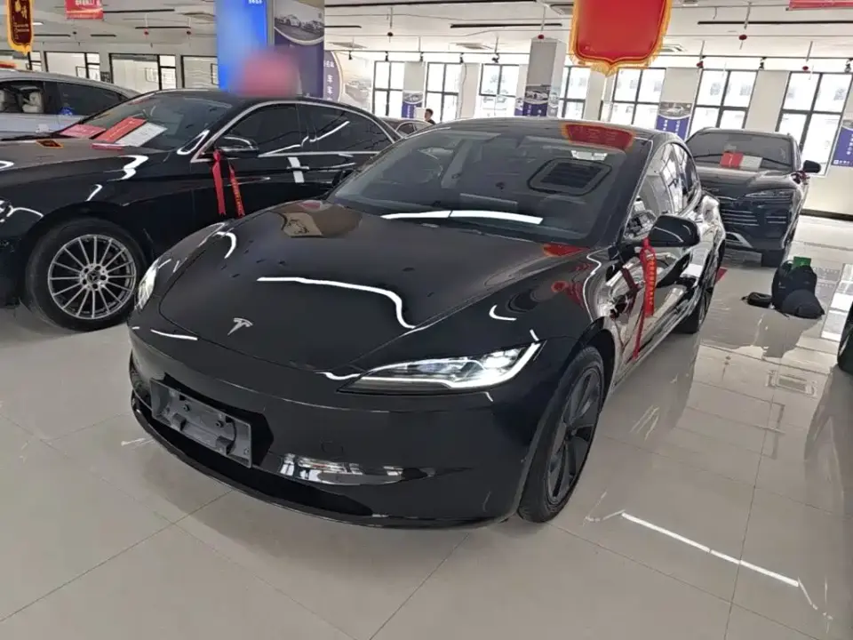 Tesla Model 3 Model Rear-Wheel Drive Edition 2025