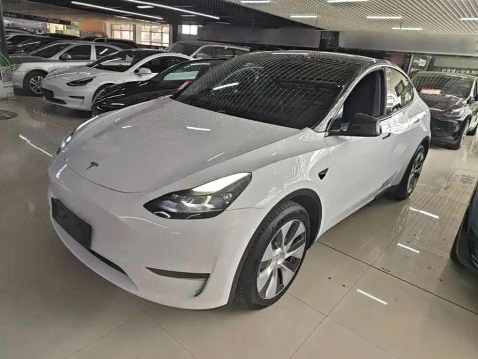Tesla Model Y Long Range AWD 2022