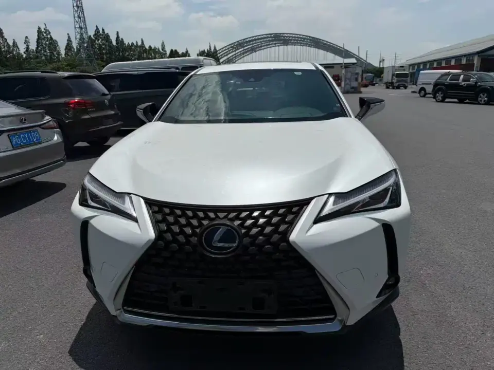 Lexus UX 260h Explore Fun Edition China V 2021