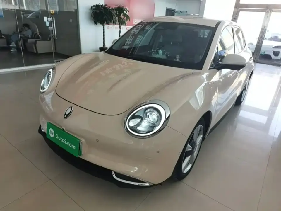 ORA Good Cat 400km Standard Range Athena Edition (LFP) 2021
