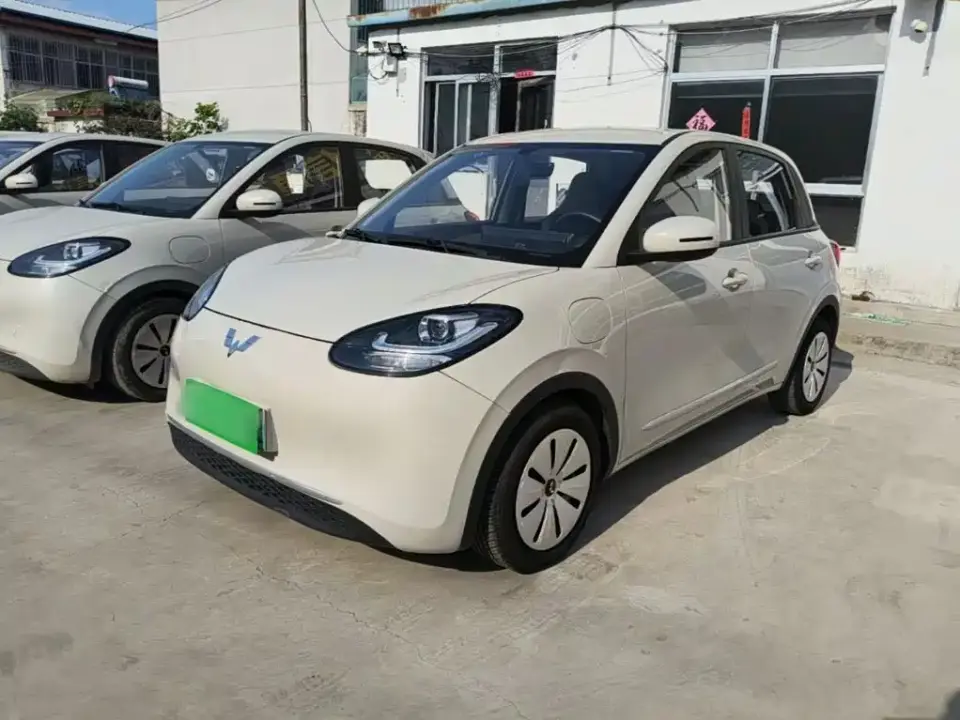 Wuling Motors Wuling Bingo 333km Quick Enjoy Version 2024