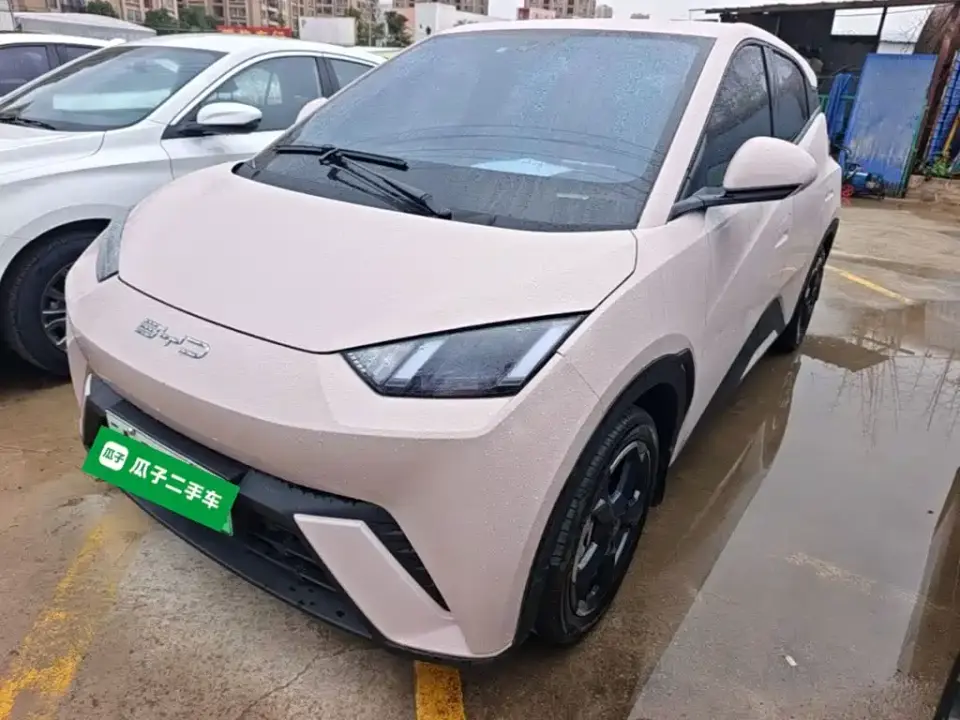BYD Seagull Freedom Edition 2023