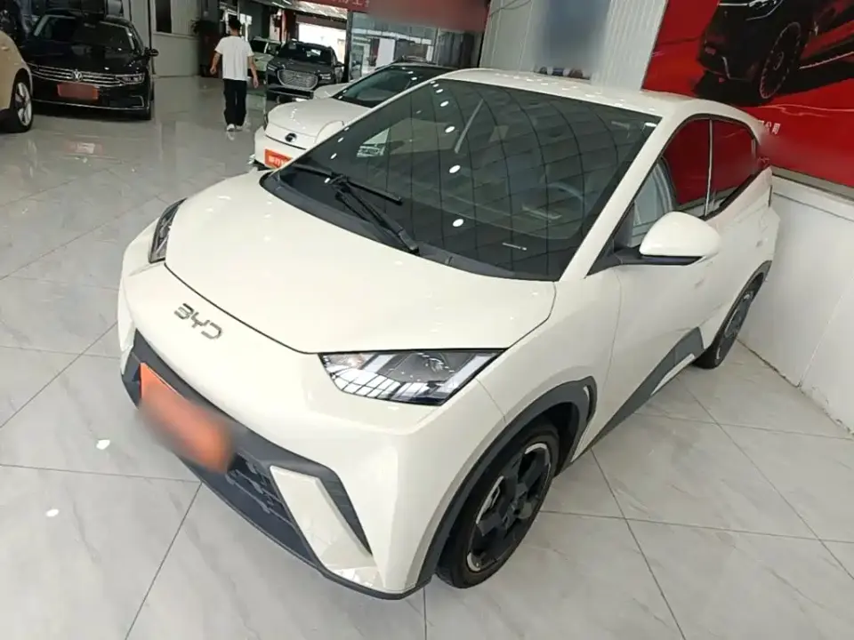 BYD Seagull Glory Edition 405km Soaring Edition 2024