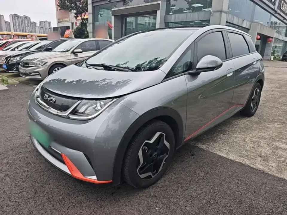 BYD Dolphin 405km Freedom Edition 2022