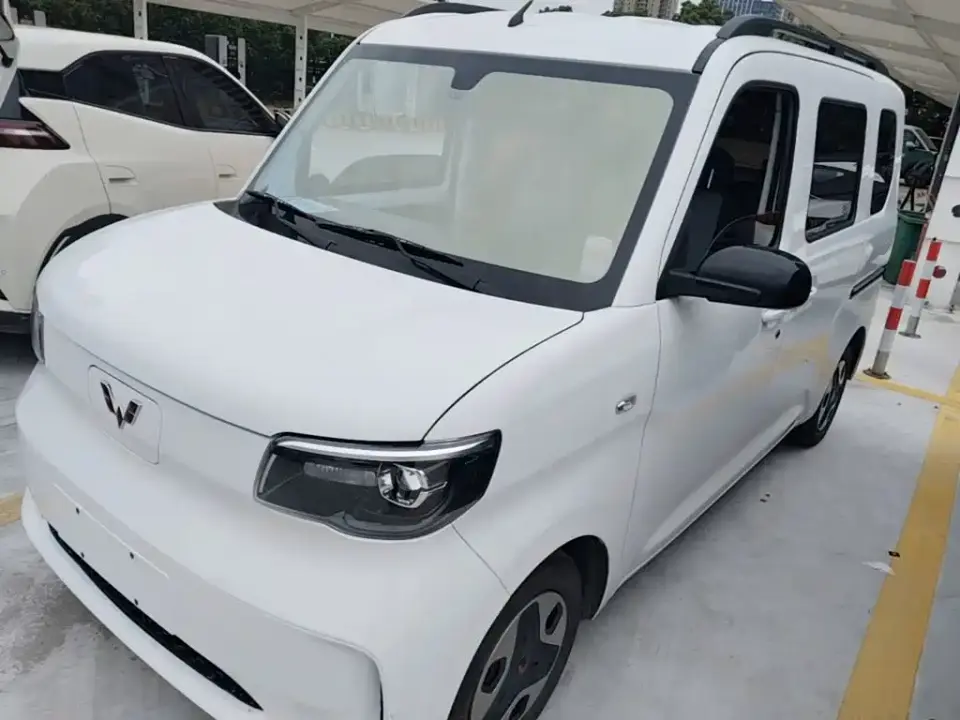 Wuling Motors Wuling Zhiguang NEV Model 305km Base Version 2025