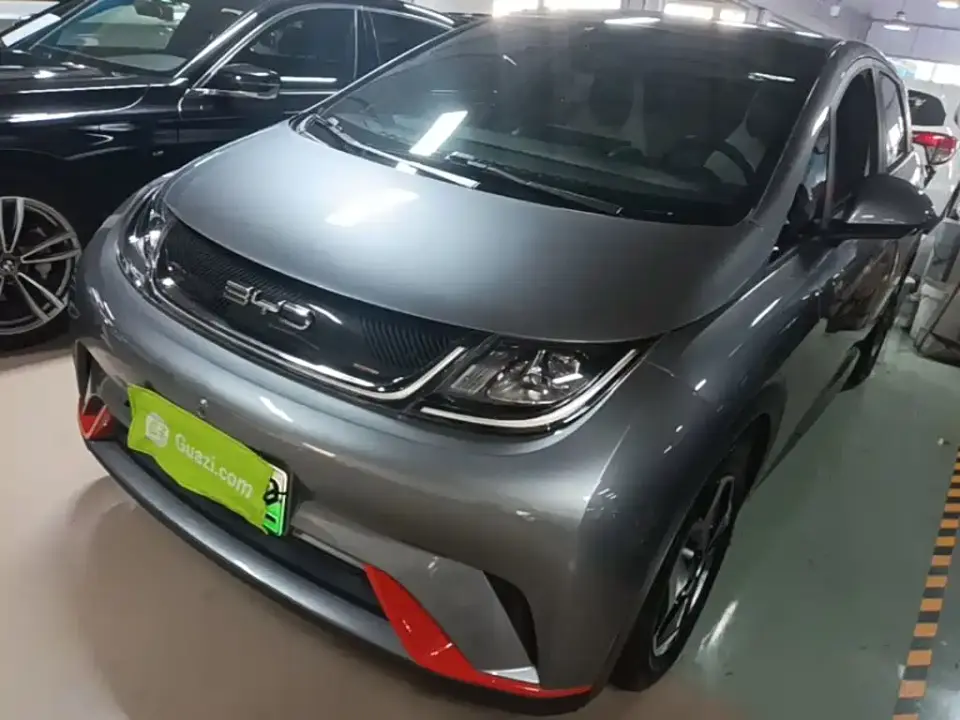 BYD Dolphin Model 405km Fashion Edition 2022