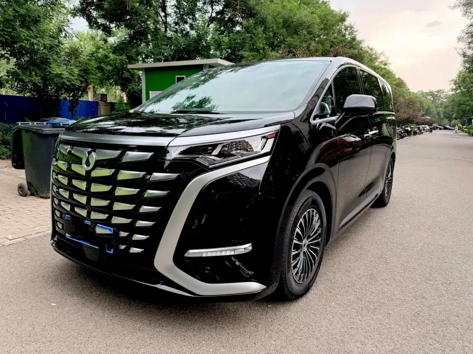 Denza D9 DM-i 945 Luxury 2023