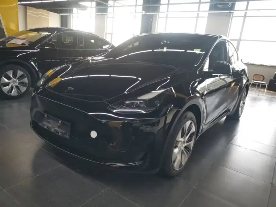 Tesla Model Y Rear-Wheel Drive Version 2022