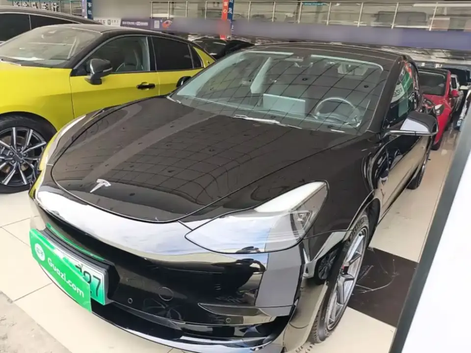 Tesla Model 3 Standard Range Rear-Wheel Drive Upgrade 3D6 2021