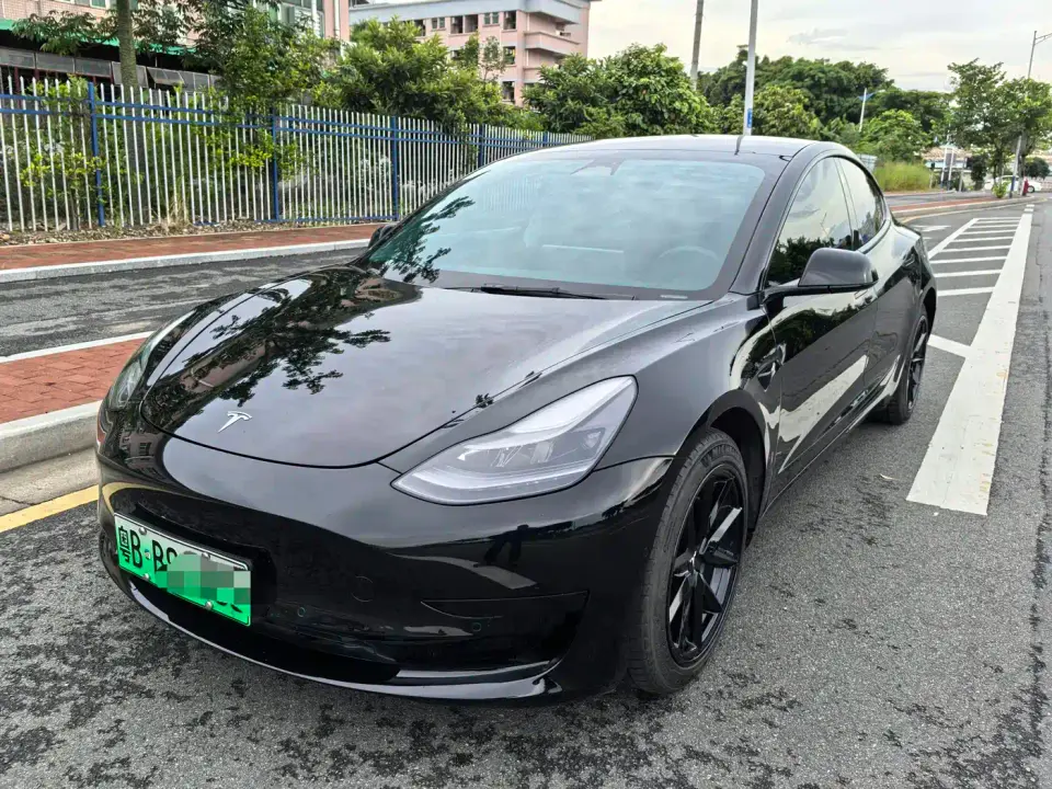 Tesla Model 3 Model Rear-Wheel Drive Version 2022