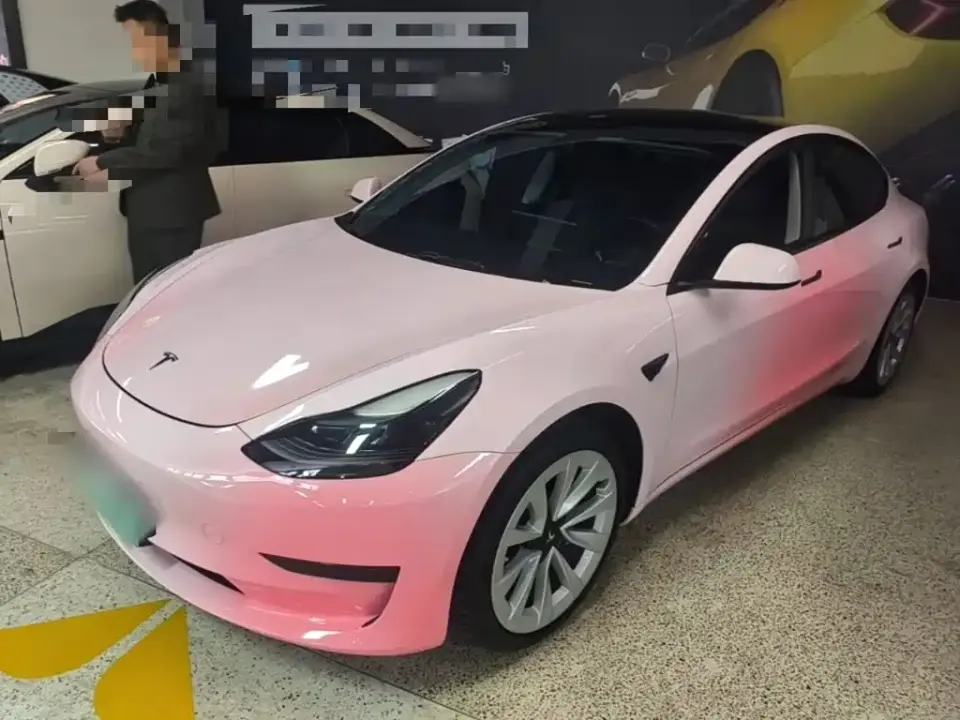 Tesla Model 3 Facelift Standard Range RWD Upgrade 3D1 2021
