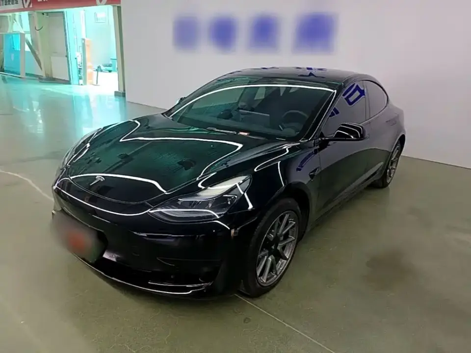 Tesla Model 3 Model Rear-Wheel Drive Version 2023