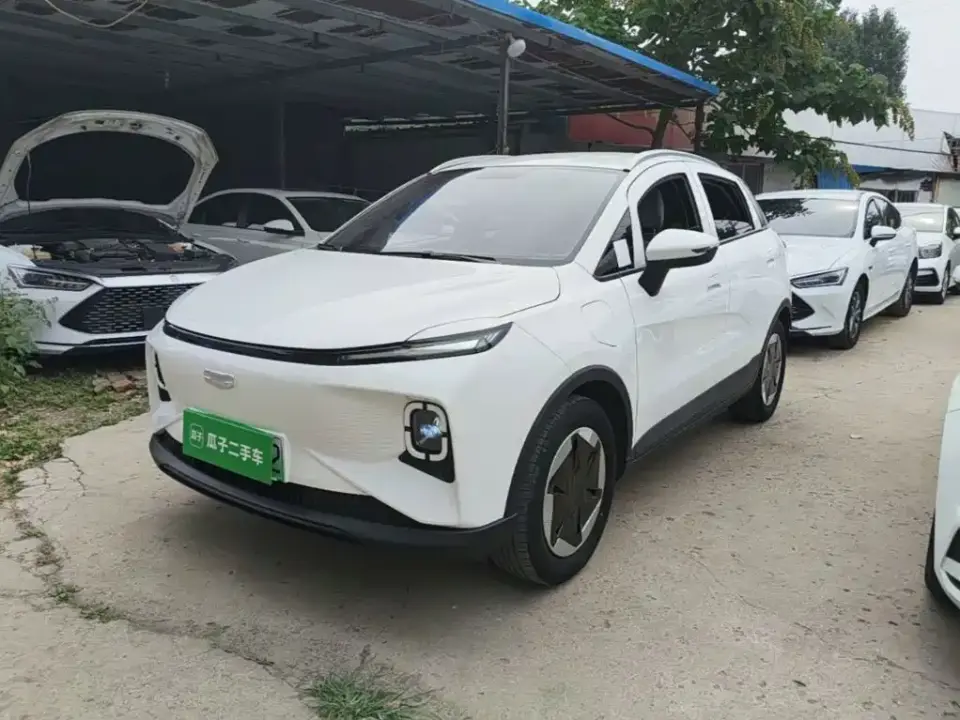 Geely Geometry E Firefly Model 301km Light Flow 2024