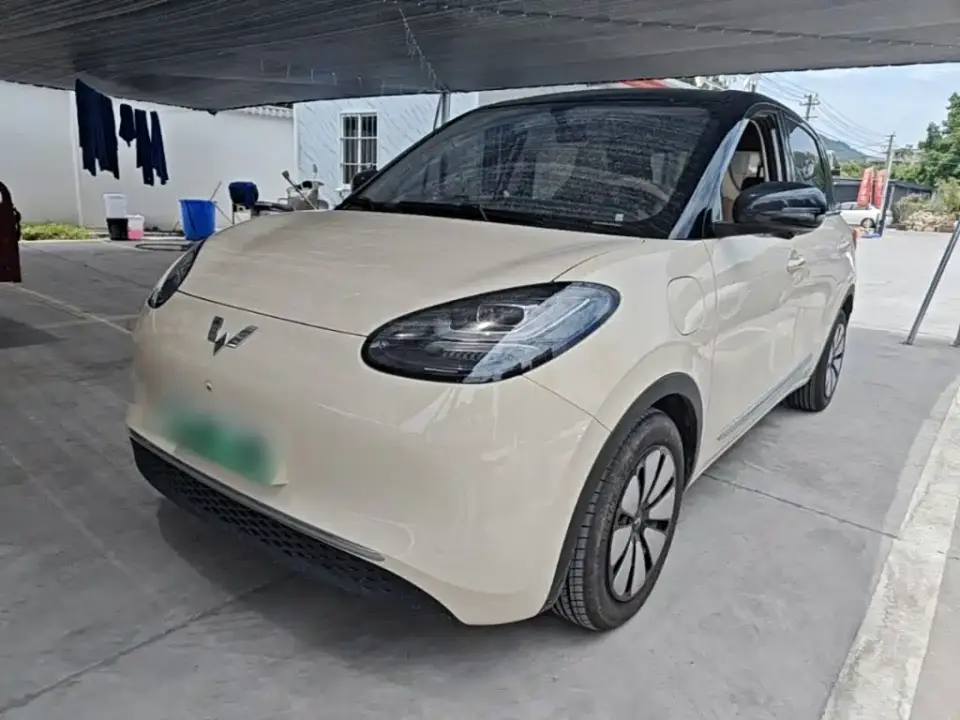 Wuling Motors Wuling Bingo Model 333km Smart Premium 2025