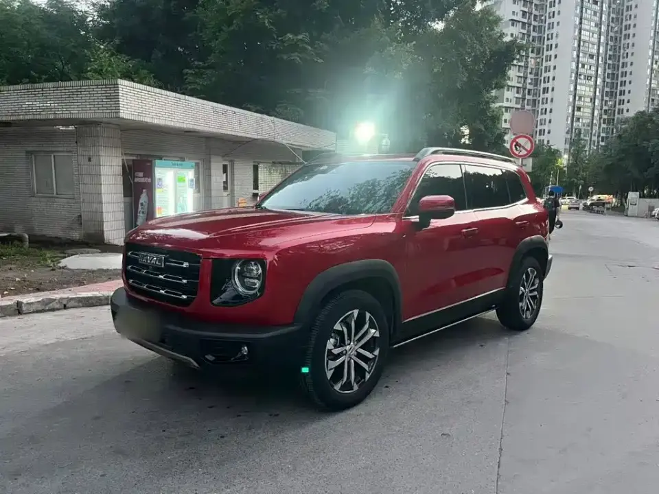 Haval Big Dog 1.5T DCT 2WD Border Collie - Wangcai Edition 2021