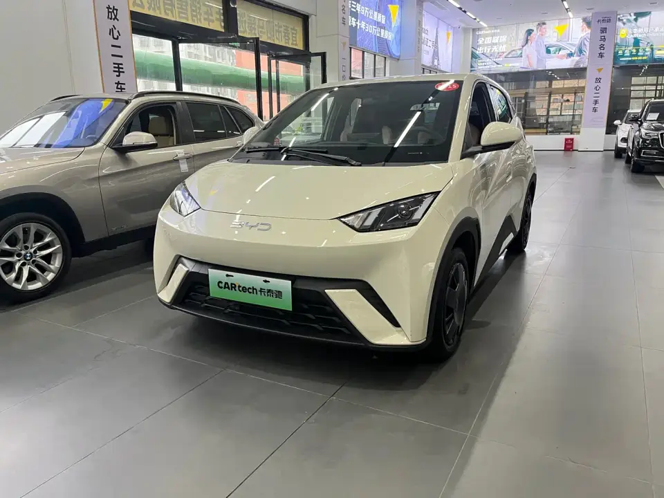 BYD Seagull Glory Edition 305km Vitality Edition 2024