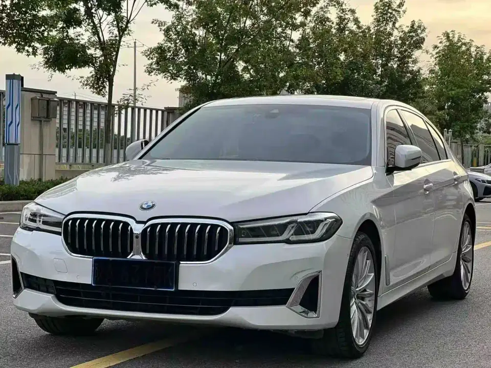 BMW 5 Series 530Li Premium Luxury Package 2021