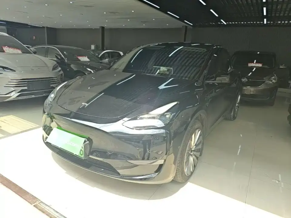 Tesla Model Y Standard Range Rear-Wheel Drive 2021