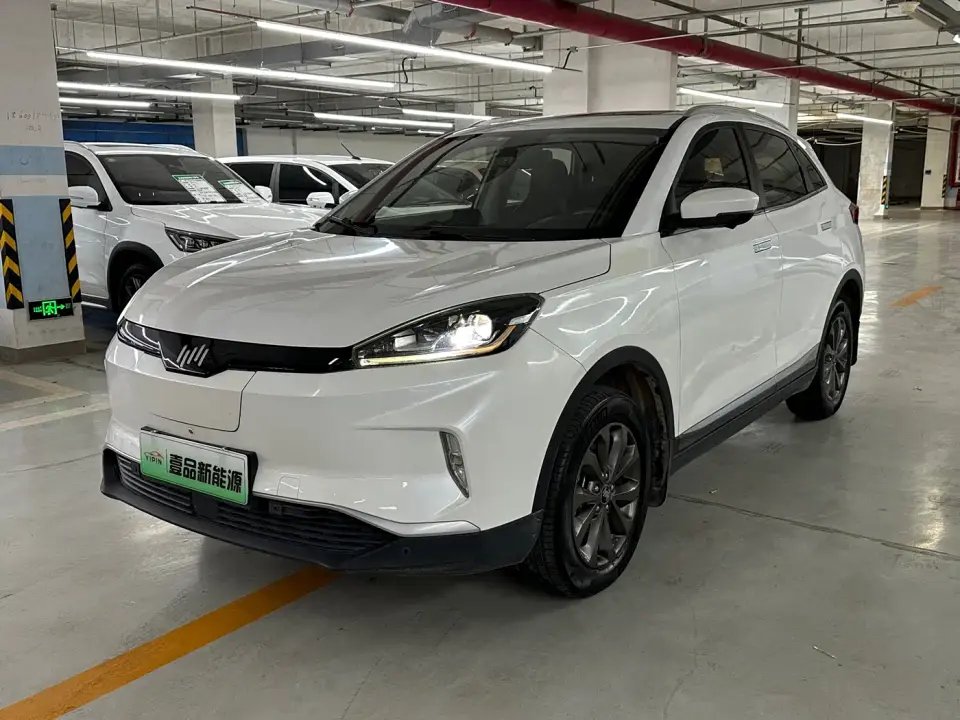 Weltmeister EX5 EX5 400 Extra Innovation Edition 2019