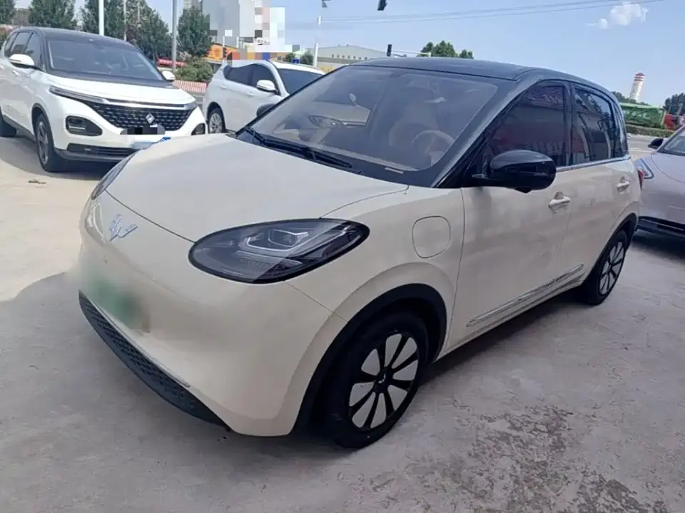 Wuling Motors Wuling Bingo Model 333km Smart Premium 2025
