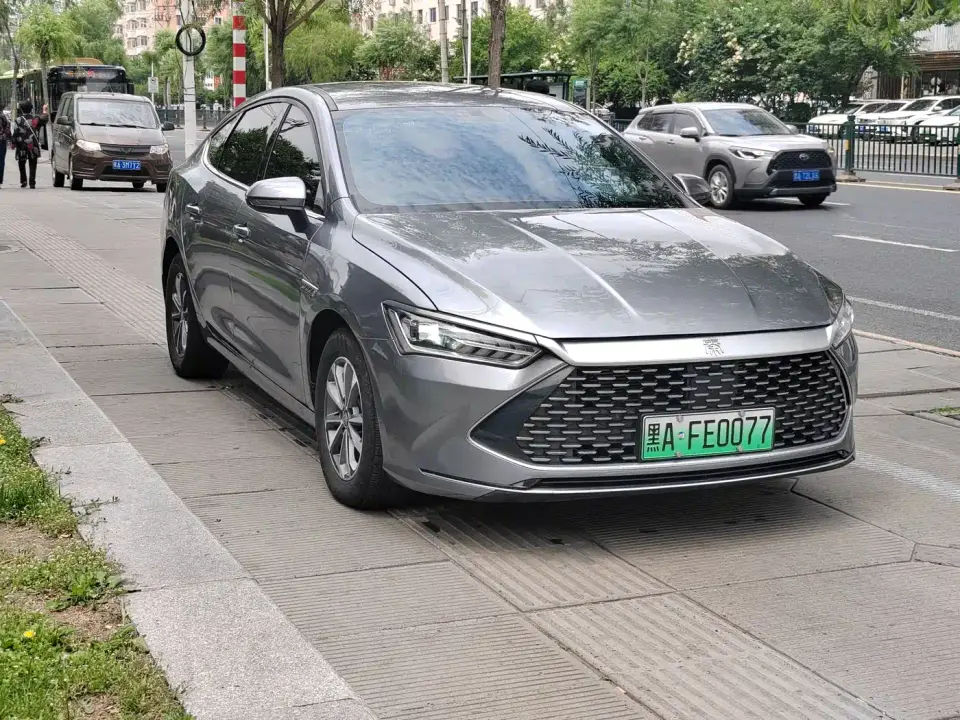 BYD Qin PLUS Glory Edition DM-i 55KM Surpass 2024