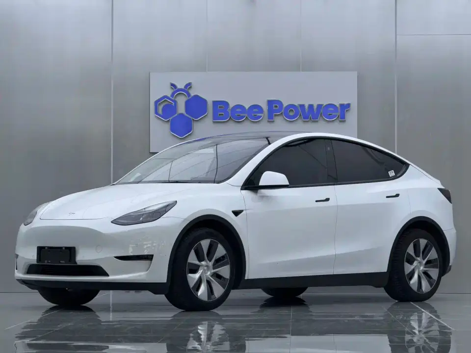 Tesla Model Y Rear-Wheel Drive Version 2022