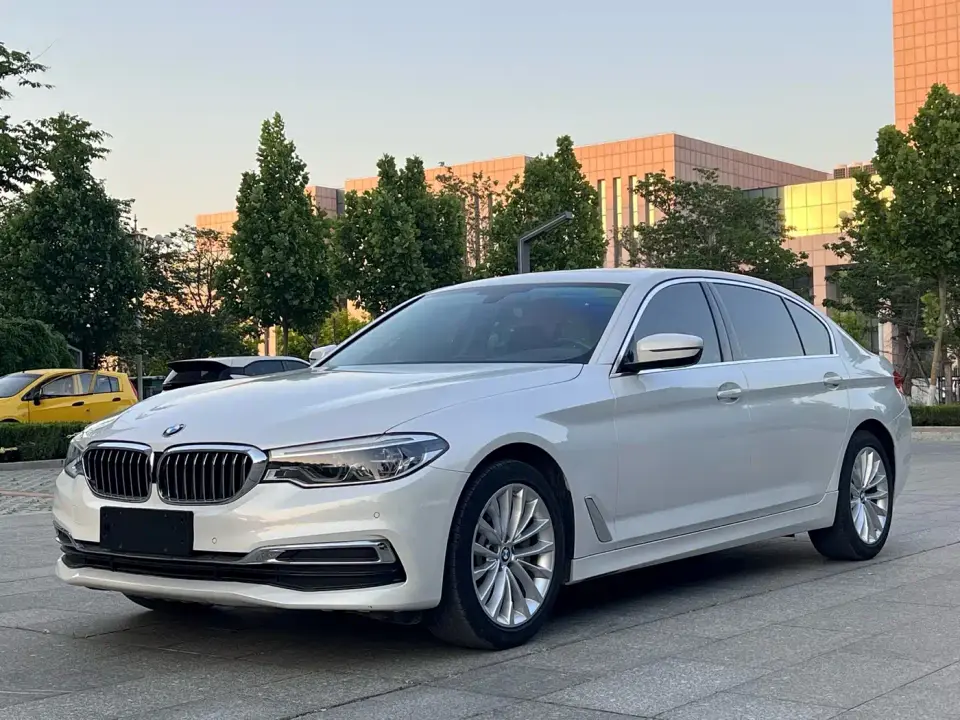 BMW 5 Series 530Li Leading Luxury Package 2020