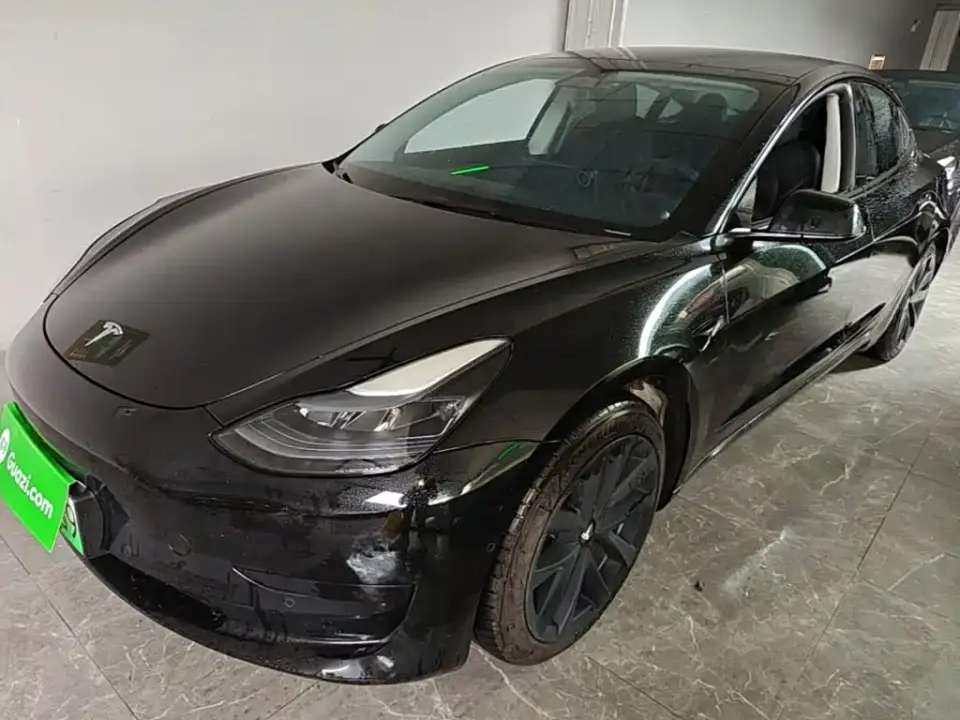 Tesla Model 3 Model Rear-Wheel Drive Version 2022