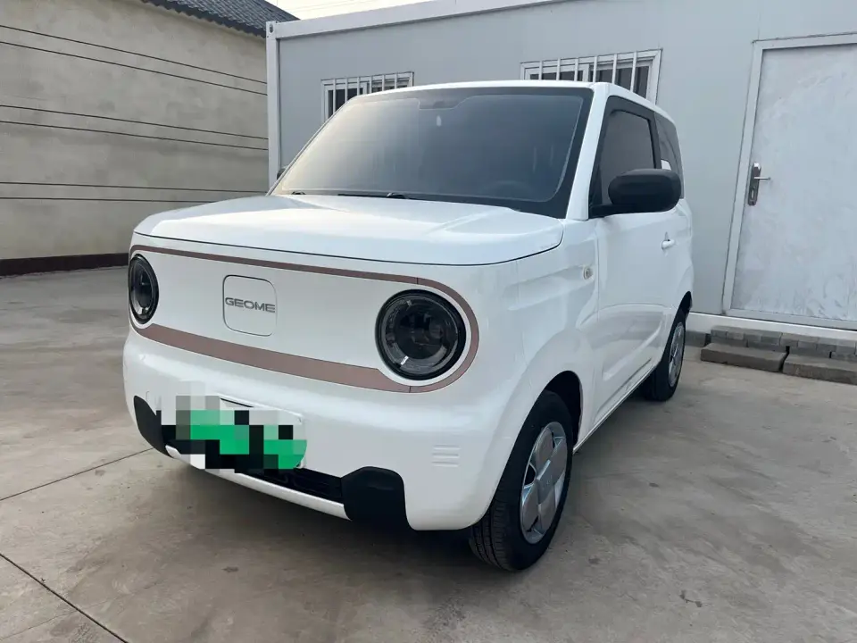 Geely Galaxy Panda Panda mini 200km Endurance Bear 2024